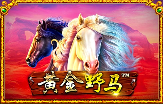 8博体育怎么样